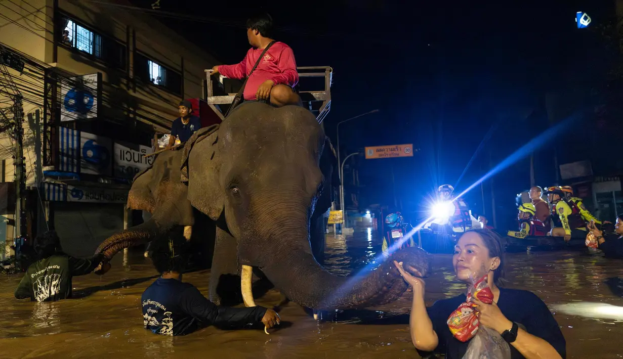 Di pusat kota Chiang Mai, warga terlihat berjuang melewati air keruh yang mencapai setinggi lutut orang dewasa. (AP Photo/Wason Wanichakorn)