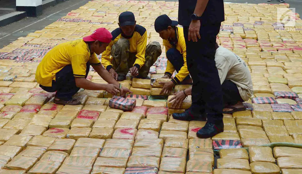 Petugas merapihkan barang bukti narkoba jenis ganja saat rilis di Polda Metro, Jakarta, Senin (30/7). Sebanyak 1.434 kg ganja jaringan Aceh-Jakarta-Bogor diamankan petugas berikut 6 orang tersangka. (Merdeka.com/Arie Basuki)