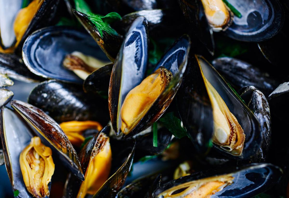 Ilustrasi Mussels
