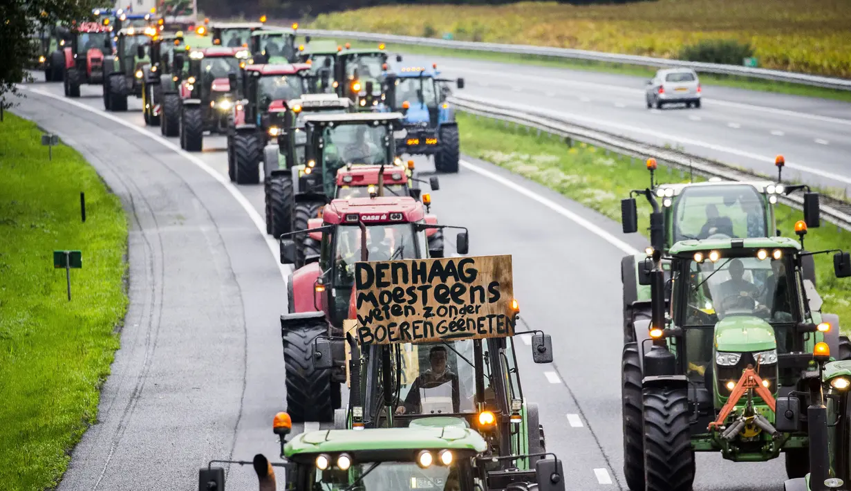 Para petani mengendarai traktor mereka sambil memblokir sepanjang jalan raya utama di Belanda, Selasa (1/10/2019). Mereka merencanakan protes di Den Haag untuk menyuarakan ketidakadilan karena disalahkan atas masalah polusi nitrogen yang terjadi negara itu. (Vincent Jannink/ANP/AFP)