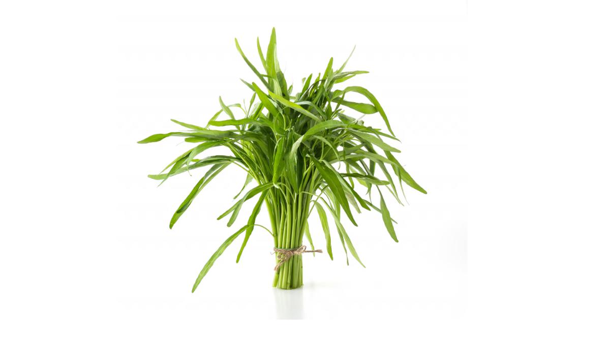 Kangkung Jarang Masuk Menu Makanan Rumah Sakit, Ahli Gizi Ungkap Alasanya