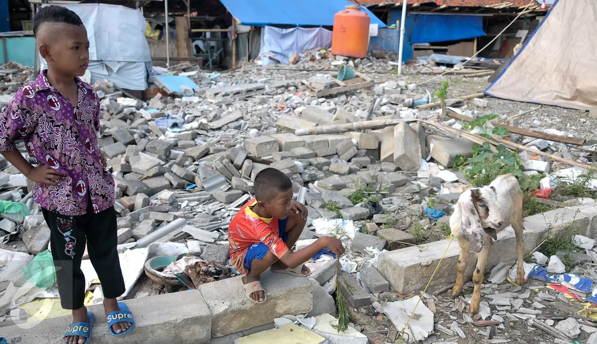 Dua orang anak berdiri dekat kambing untuk hewan kurban di kawasan Kampung Akuarium, Jakarta, Senin (12/9). Ratusan warga korban gusuran Kampung Akuarium Pasar Ikan merayakan Idul Adha 1437 H di antara reruntuhan rumah mereka. (Liputan6.com/Yoppy Renato)