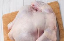 Trik Merebus Ayam Kampung Tua Menjadi Empuk dalam Waktu Singkat