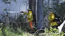 Beberapa komunitas Hawaii terpaksa mengungsi dari kebakaran hutan yang menghancurkan setidaknya dua rumah pada Selasa. (Matthew Thayer/The Maui News via AP)
