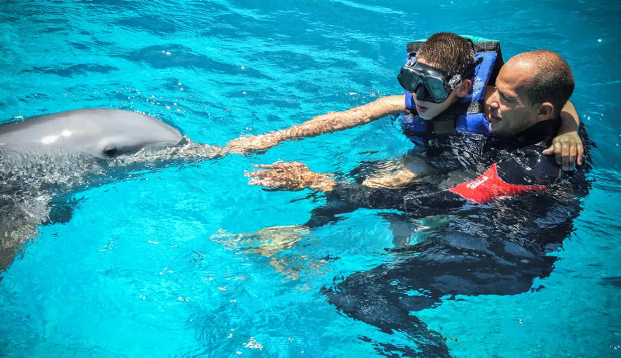 Pelatih lumba-lumba, Adrian Calderon membantu Javier Gonzalez menyentuh lumba-lumba selama sesi terapi di National Aquarium, Kuba, Senin (26/5/14). (AFP PHOTO/Adalberto ROQUE)