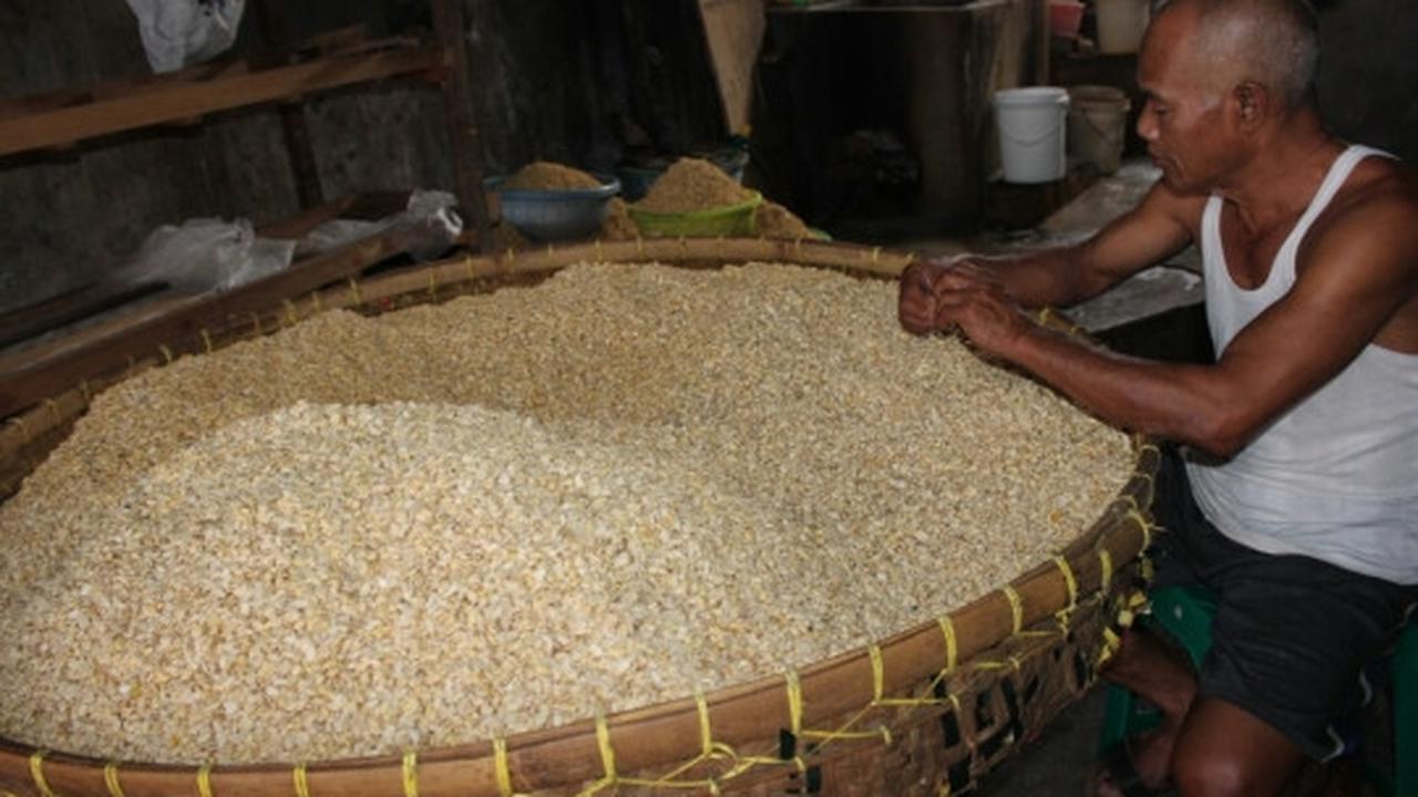 Imbas dolar naik, ukuran tempe di Malang menipis