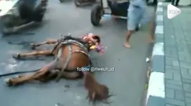 Akibat tersandung sesuatu di jalan, seekor kuda pingsan di jalanan hingga harus digotong warga.