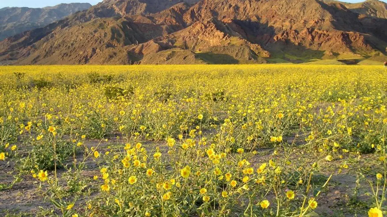 Taman Nasional Death Valley