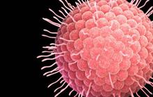 Kenali Pengertian Virus Oropouche, Gejala, serta Upaya Pencegahan yang Perlu Dilakukan