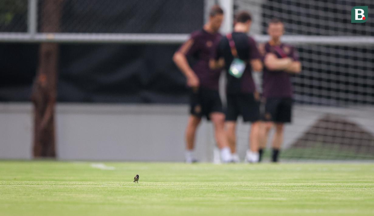 <p>Seekor burung terlihat saat Timnas Jerman U-17 latihan menjelang laga final Piala Dunia U-17 2023 di Lapangan Kota Barat, Solo, Kamis (30/11/2023). (Bola.com/Bagaskara Lazuardi)</p>