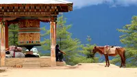 5 Rekomendasi Wisata Wellness di Bhutan bagi Para Pencari Ketenangan