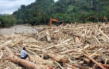 Habis Banjir Bandang Terbitlah Kayu Gelondongan