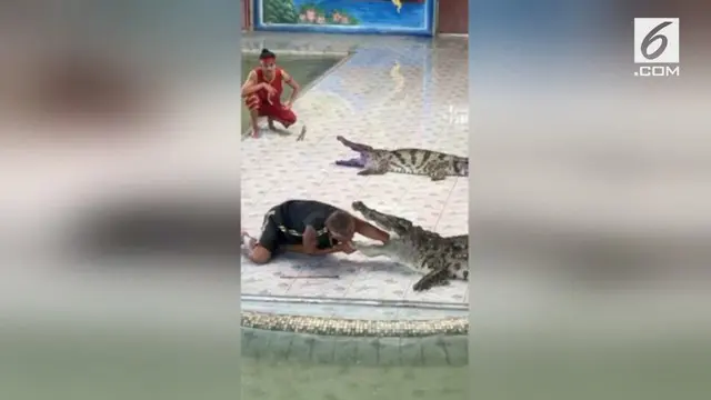 VIDEO: Buaya Gigit Tangan Pawang saat Pertunjukan