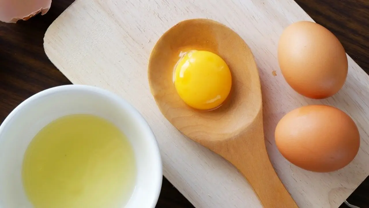 telur