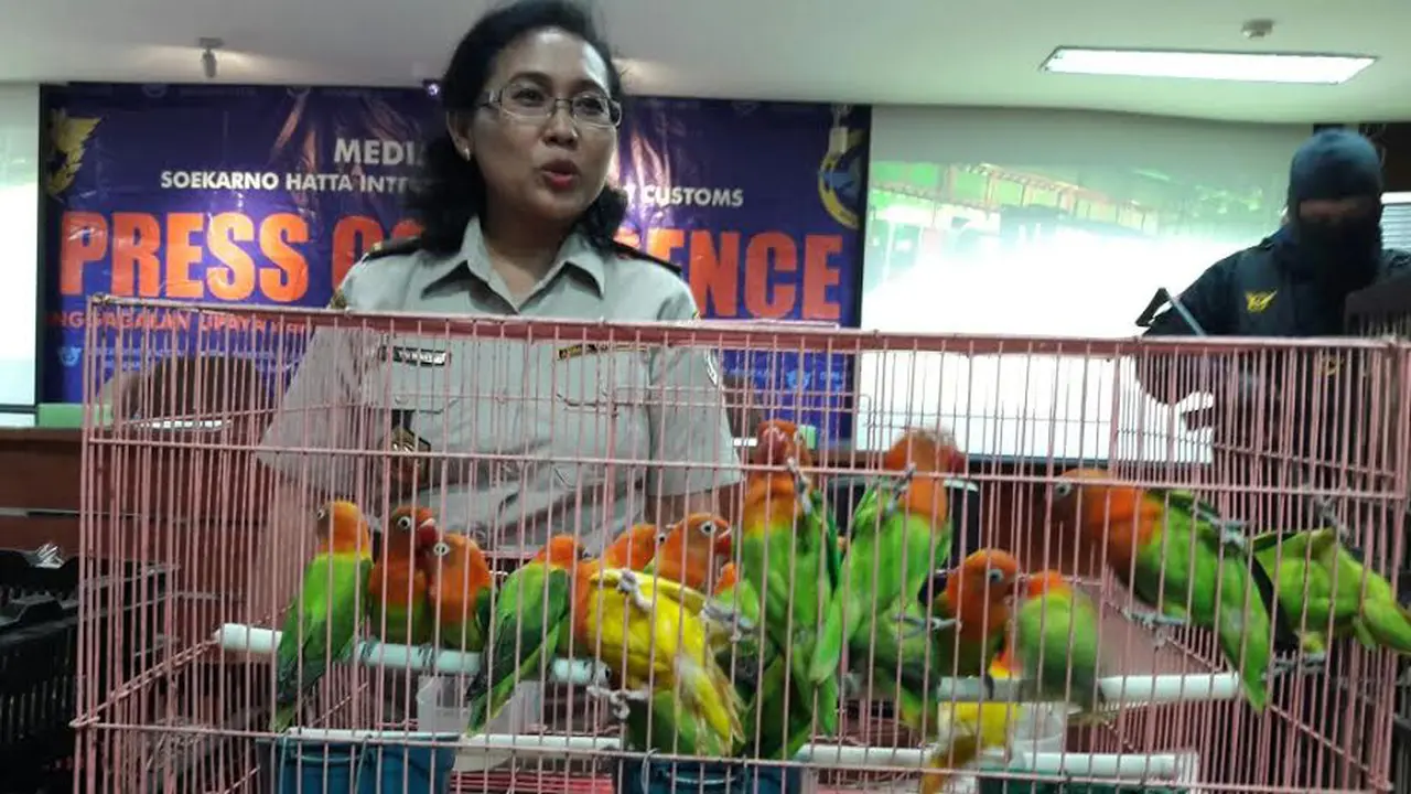 20160526-Penyelundupan-Burung-China-Tangerang