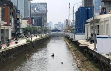 Heboh Warga Tangkap Ikan Mujair Nyangkut di Kali Ciliwung, Dinas KPKP: Aman Dikonsumsi