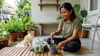 Cara Menanam Rumput Kucing di Wadah Kecil untuk Hewan Peliharaan, Ini Langkahnya