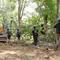 23 Perkara Kejahatan Kehutanan di Bukit Barisan dalam 10 Tahun