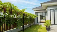 9 Kebun Rambat Sederhana yang Bikin Pagar Rumah Tidak Terlihat Membosankan