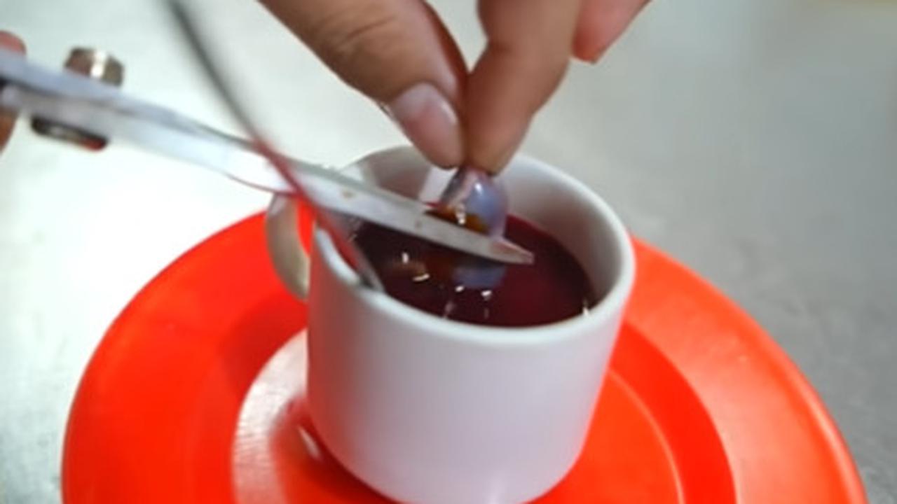 Manfaat Sate Ular Kobra