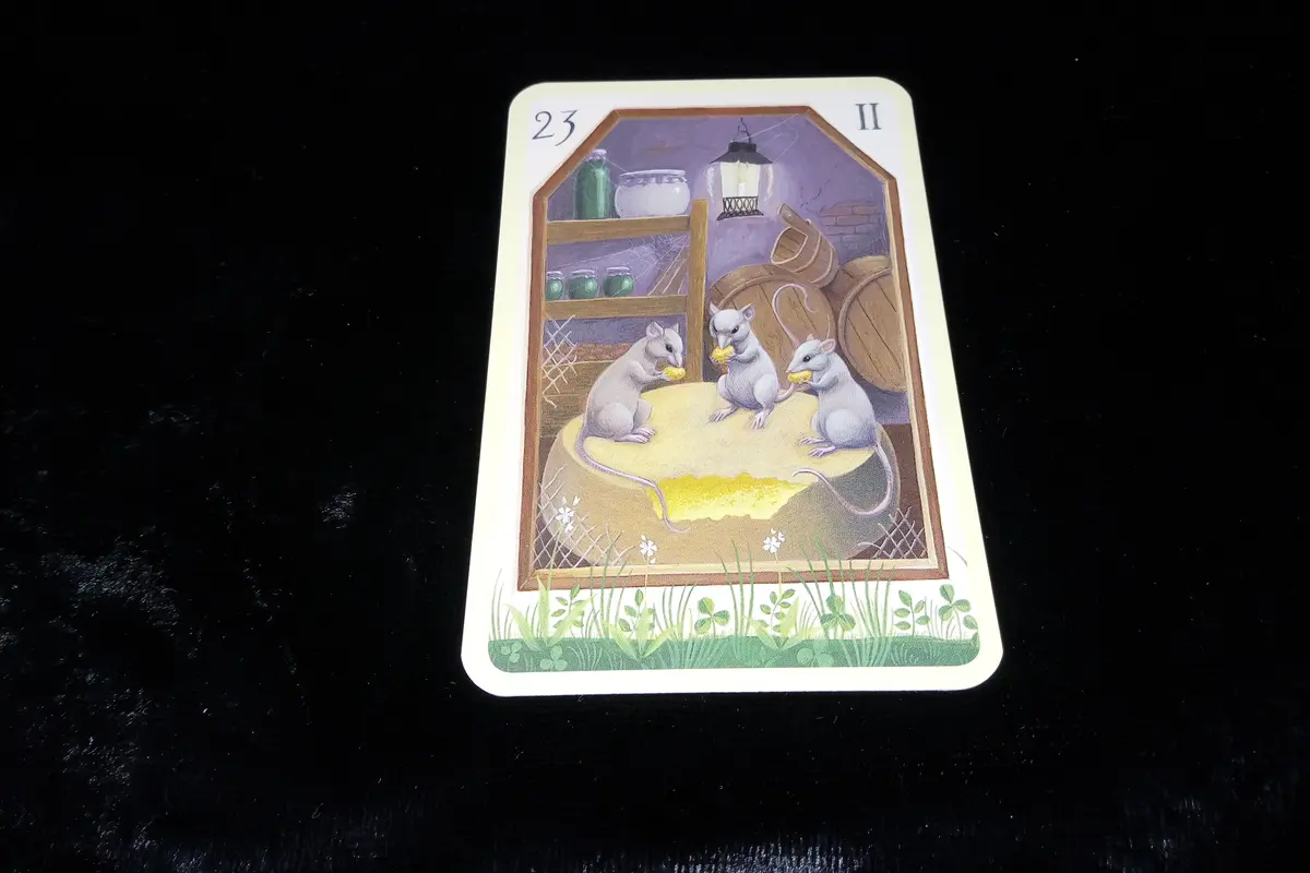 Tarot hari ini, jumat 29 juni 2018