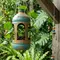 Membuat Pot Lentera dari Botol Plastik, DIY Cantik yang Sulap Sampah Jadi Dekorasi Taman Estetik