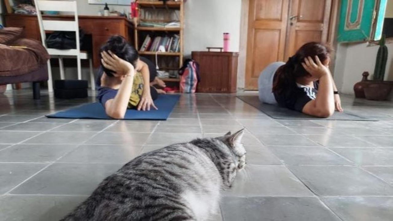 5 Potret Rumah Eross Sheila On 7 di Yogyakarta, Sederhana ala Rumah Pedesaan yang Sangat Nyaman