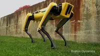 Robot anjing besutan Boston Dynamics yang bisa membuka pintu. Foto: Boston Dynamics