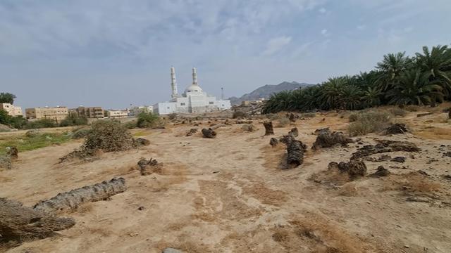 6 Potret Lokasi Area Perang Badar, Jadi Peperangan Pertama dalam Sejarah Islam