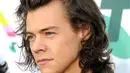 Sebelum memulai debut dengan One Direction, Harry Styles ternyata telah membentuk sebuah band bernama White Eskimo dan berperan sebagai vokalis. (Bintang/EPA)