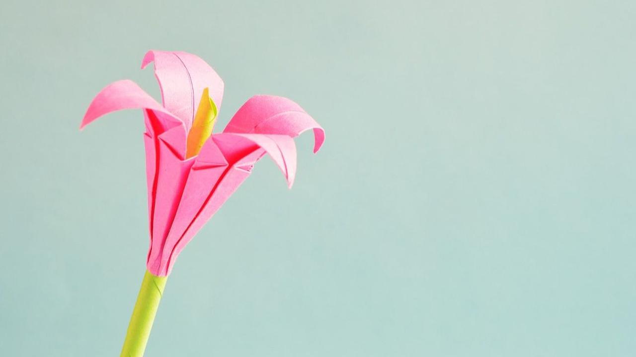 Cara Membuat Bunga Tulip