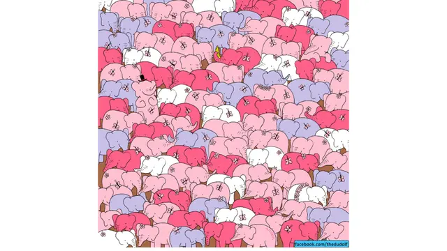 [Bintang] Game Valentine, Yuk Temukan Cinta di Antara Kawanan Gajah!