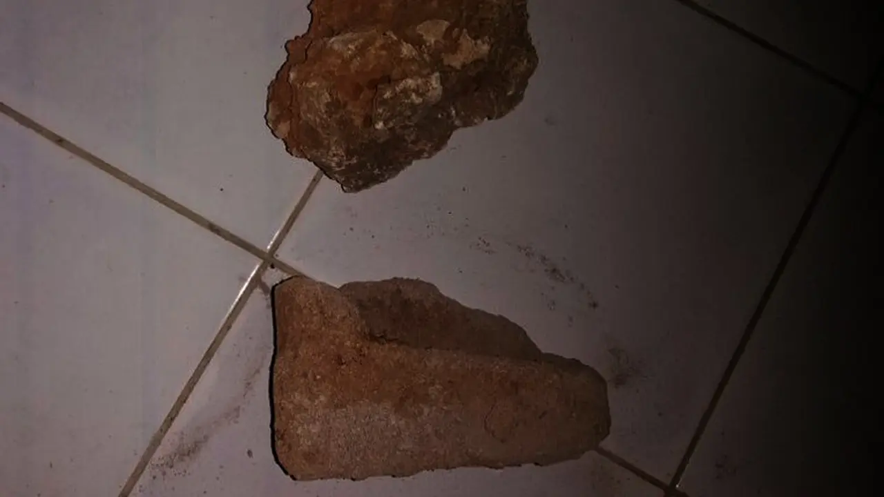 Pembunuhan