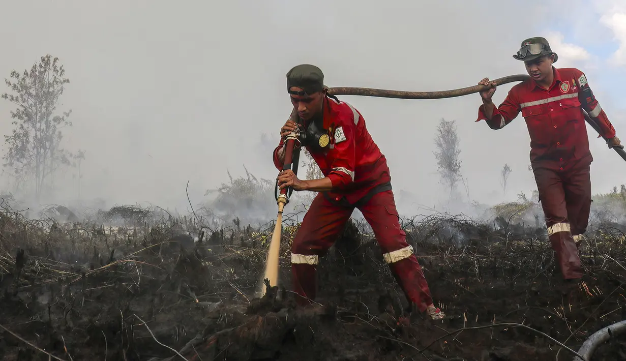 Petugas pemadam kebakaran  memadamkan kebakaran hutan pada lahan gambut seluas lebih dari 100 hektar) di Pulang Pisau, Provinsi Kalimantan Tengah, Indonesia, Jumat, 31 Juli 2026.  (AFP/ Reina)