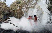 Tim Gabungan Berjibaku Padamkan Karhutla Kampar 15 Hektare, Terkendala Lahan Gambut