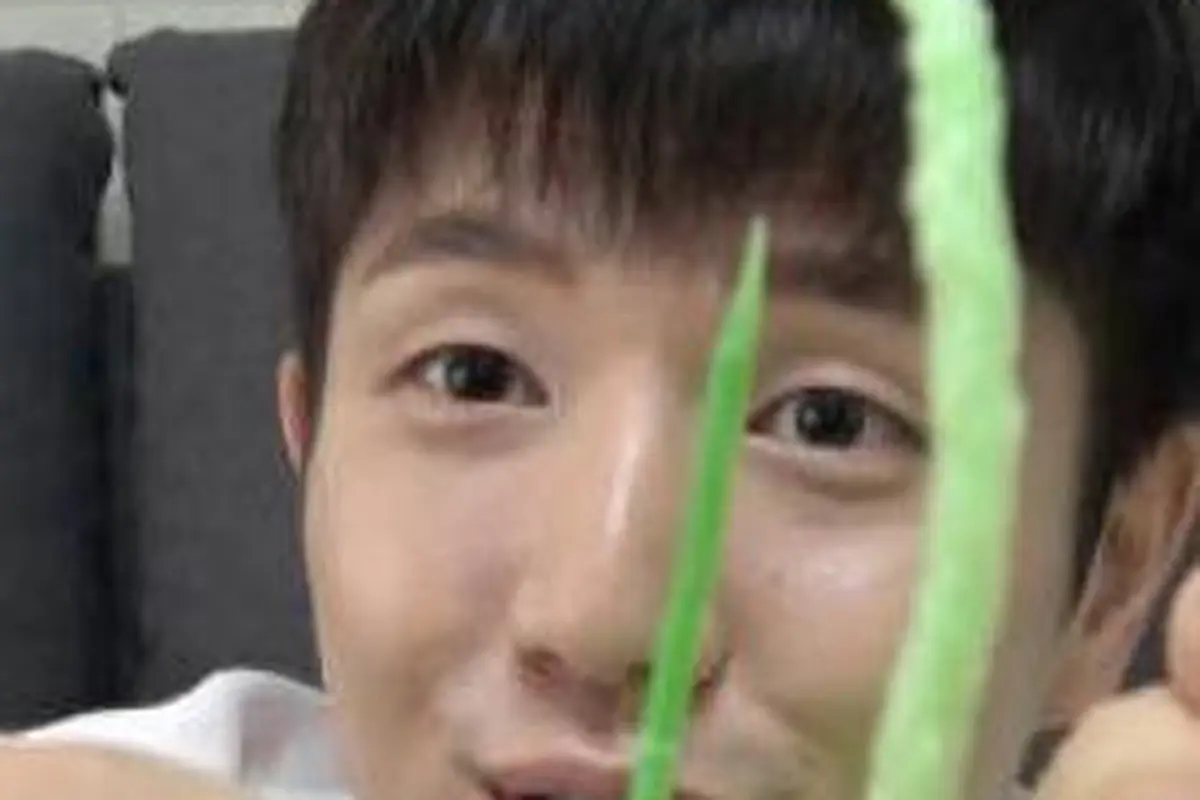 Video of Eating Fried Toothpicks Goes Viral in South Korea