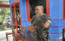Satwa Langka Owa Jawa Masuk Permukiman di Cisarua Bandung, Seorang Anak Terluka Usai Diserang