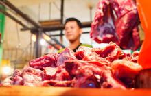 Pemerintah Stabilkan Harga Daging Sapi Jelang Idul Fitri 2026