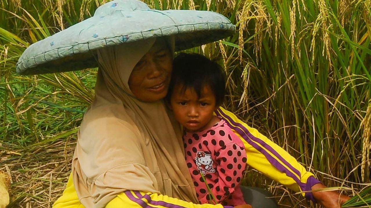 Di Bogor, harga gabah tertinggi menembus Rp8.500 per kilogram. Naik cukup tinggi dibandingkan harga sebelumnya, yakni di kisaran Rp5.500 sampai Rp6.000 per kilogram.&nbsp;Foto: Merdeka.com/Arie Basuki