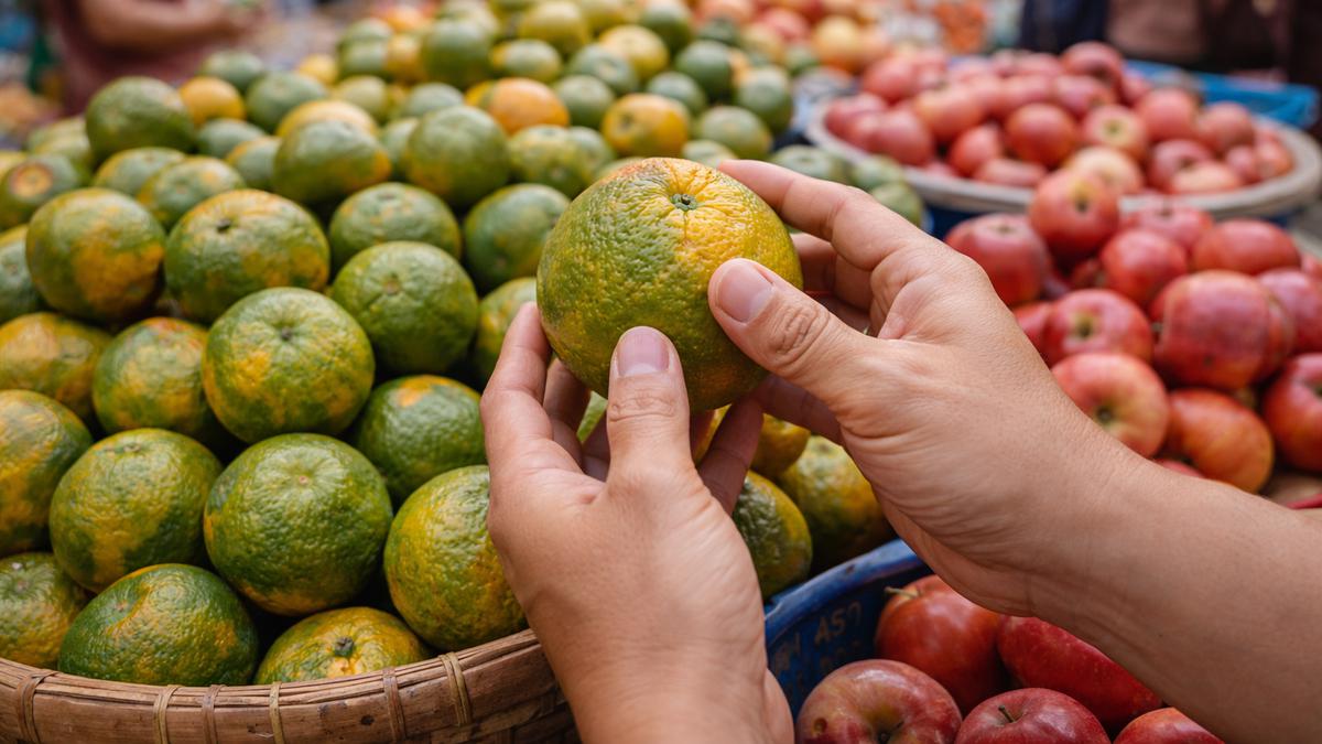 7 Cara Memilih Jeruk Manis dan Banyak Air yang Segar, Tidak Asam