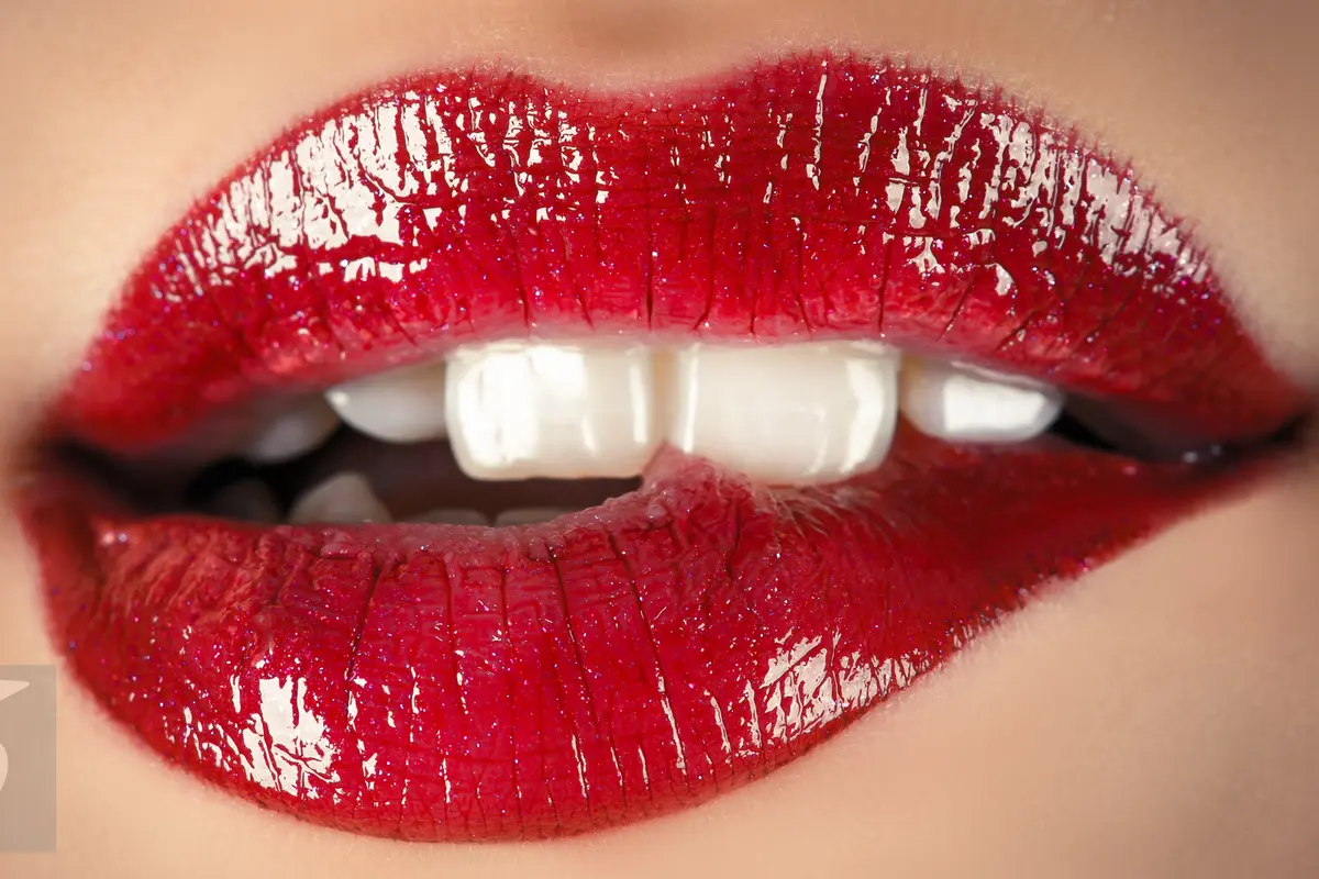 Bibir Seksi