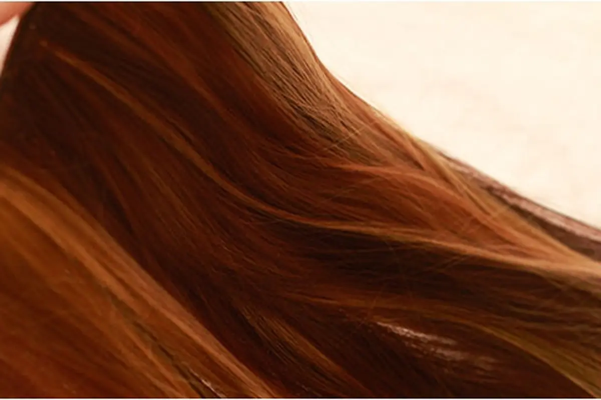 Foto: copyright wikihow.com