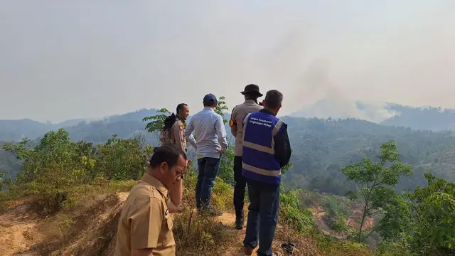 1000 Hektare Lahan Terbakar dalam 24 Jam di Riau, 29 Tersangka Pembakaran Ditangkap dalam Sepekan