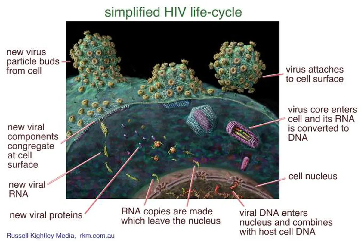 Kematian Akibat AIDS Makin Sedikit
