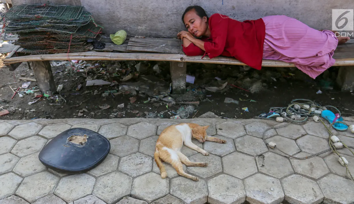 Ditemani kucing, warga yang memilih bertahan akibat abrasi beristirahat di Desa Pantai Mekar, Kecamatan Muara Gembong, Bekasi, Kamis (20/6/2019). Puluhan rumah warga di Kampung Muarajaya RT01/RW01 Desa Pantai Mekar hilang tersapu air saat terjadi abrasi selama 10 tahun. (Liputan6.com/Fery Pradolo)