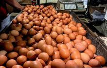 Update Harga Pangan Hari Ini: Telur Ayam Dijual Rp32.000 per Kg, Bawang Merah Rp45.950 per Kg