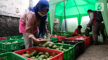 Warga memilih buah-buahan di lapak sayur dan buah hasil sortiran penjual sayur online di  Jakarta, Kamis (12/11/2020). Kementerian Perdagangan mengklaim pandemi Covid-19 menjadi momentum sektor pertanian di dalam negeri semakin subur. (Liputan6.com/Angga Yuniar)