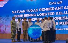 Bentuk Satgas BBL, Pemerintah Bakal Sikat Penyelundup Lobster