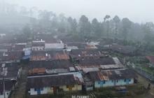 Mengunjungi Kampung Terpencil di Tengah Perkebunan Teh Batang, Masih Banyak Rumah Tua Peninggalan Belanda
