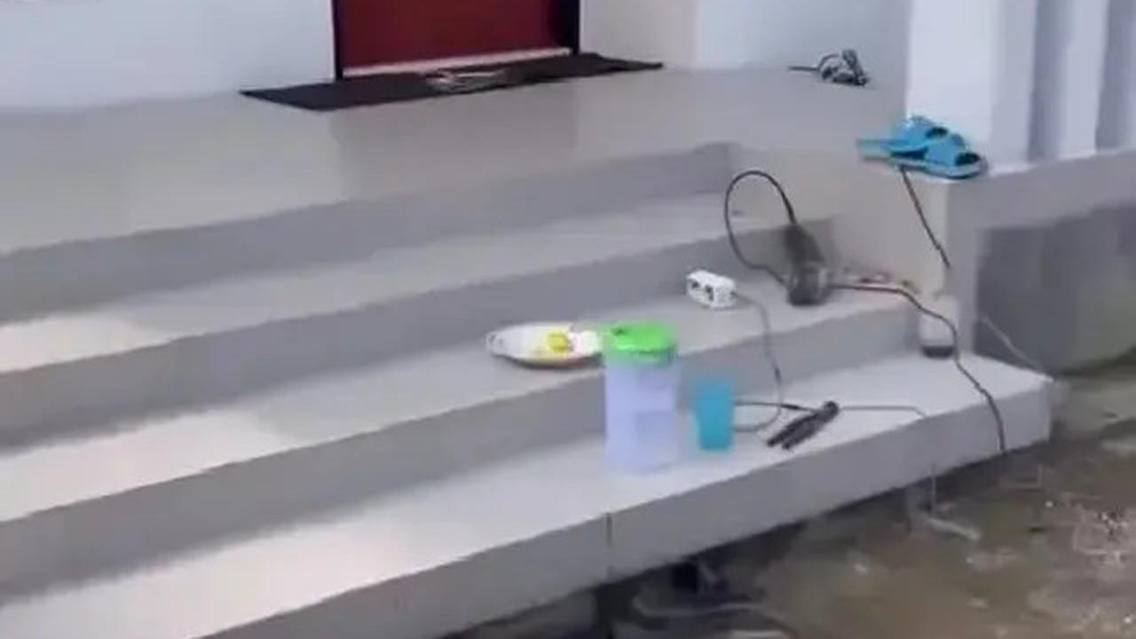 Foto-foto Penampakan Rumah Sus Rini Pengasuh Rayyanza, Lokasinya di Desa yang Asri dan Sejuk